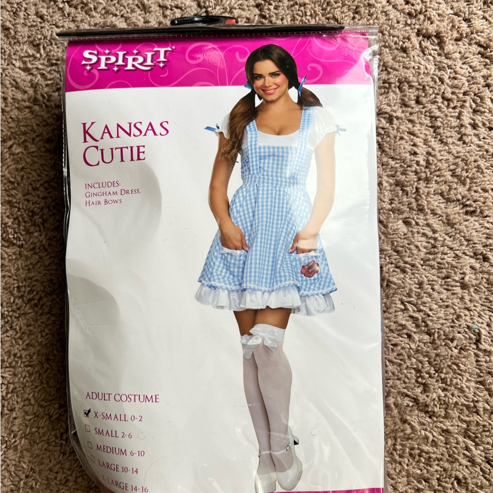 Dorothy Costume